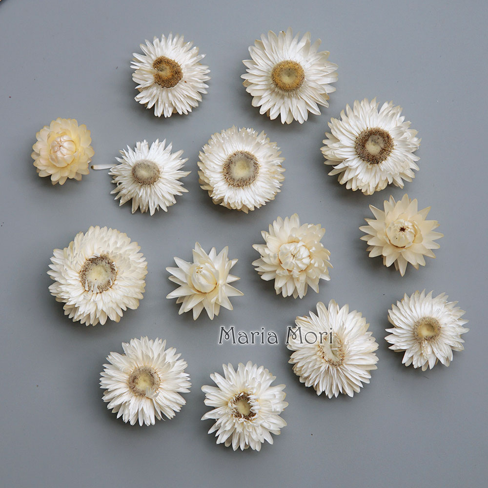 Natuurlijke Gedroogde Kleurrij - Holiday Candle Set recensie en prijs